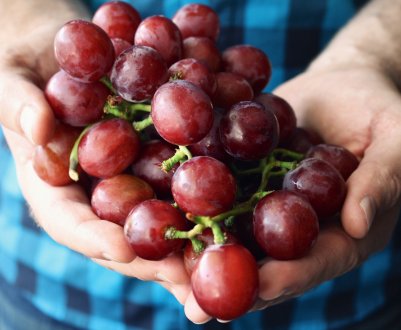 Японський гурман витратив на покупку виноградної грона більше одинадцяти тисяч доларів
