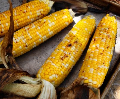 Американські фермери переживають через врожаю кукурудзи