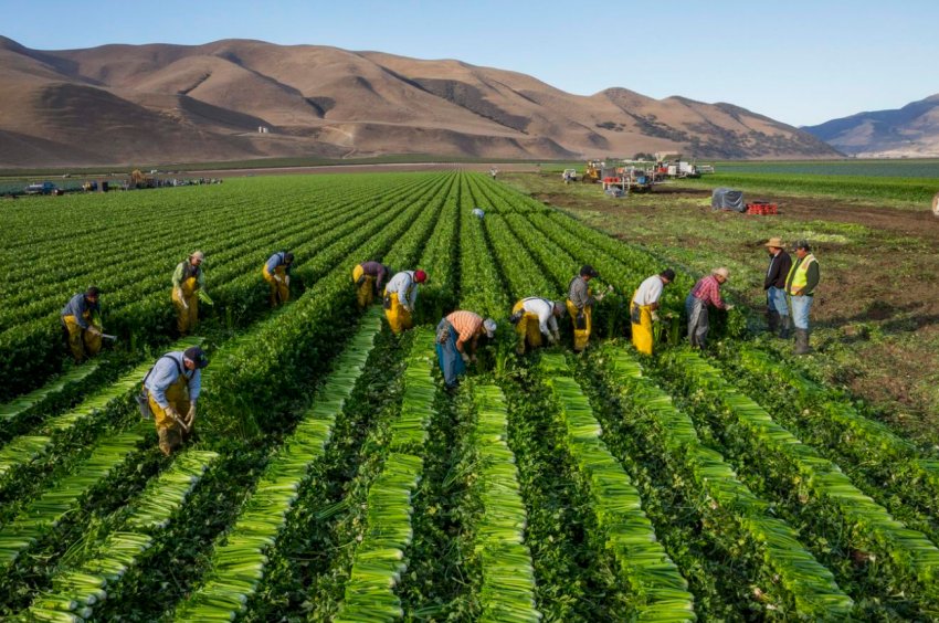 Точне землеробство від SGS стало доступно в Туреччині, Аргентині