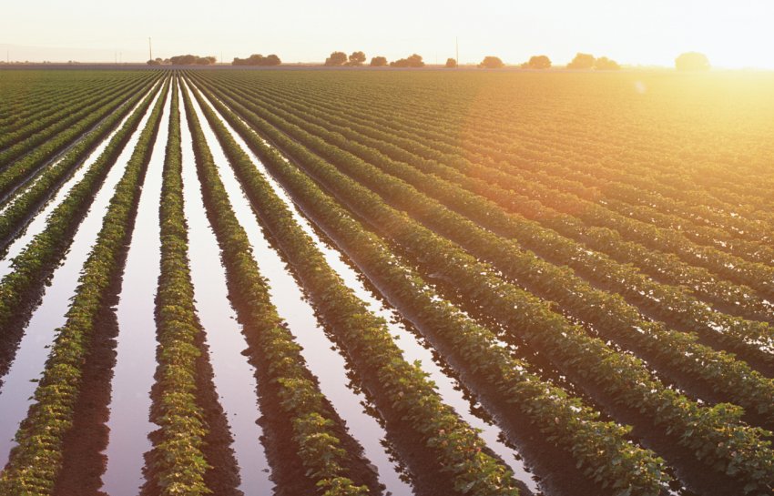 Точне землеробство від SGS стало доступно в Туреччині, Аргентині