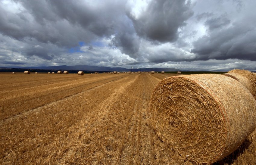 Врожаї в Азербайджані знижуються з вини паліїв соломи Врожаї в Азербайджані знижуються з вини паліїв соломи