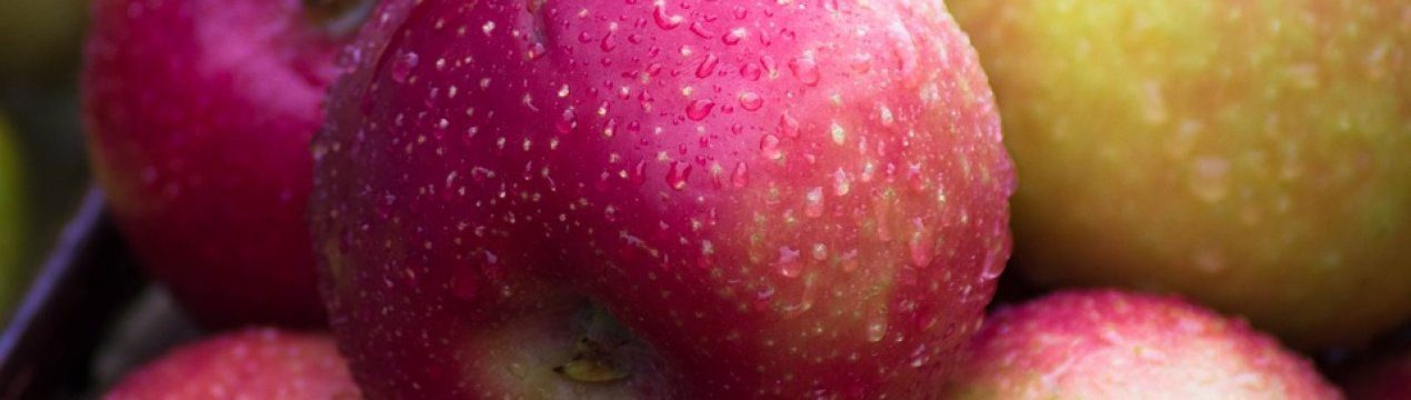 Ранні яблука в Україні стають доступнішими