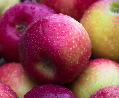 Ранні яблука в Україні стають доступнішими