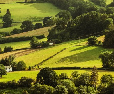 Пріоритет сільського господарства РФ — якість і ефективність