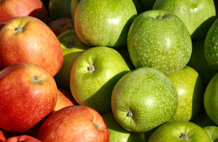 Ранні яблука в Україні стають доступнішими