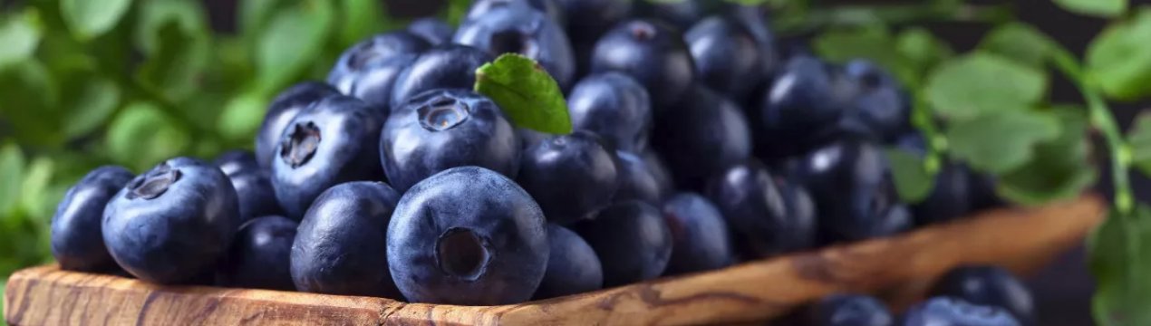 На українських ринках різко подорожчала лохина