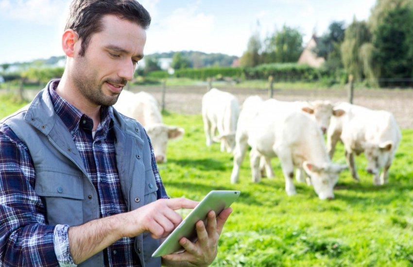 Українські фермери отримають кредит від ЄІБ на суму 400 мільйонів євро Українські фермери отримають кредит від ЄІБ на суму 400 мільйонів євро