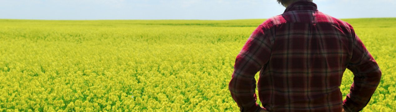 Українські фермери отримають кредит від ЄІБ на суму 400 мільйонів євро