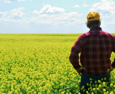 Українські фермери отримають кредит від ЄІБ на суму 400 мільйонів євро