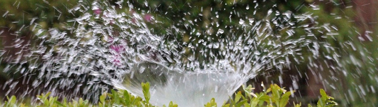 Невідомі особи демонтують незаконно зрошувальну систему в Миколаївській області