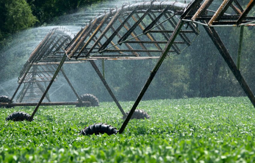 Невідомі особи демонтують незаконно зрошувальну систему в Миколаївській області