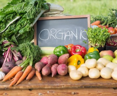 Українським органикам не радять відволікатися на пошук нових ринків