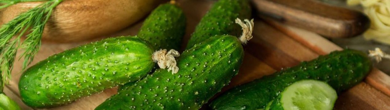 Прохолодна погода в Україні провокує підвищення цін на огірки