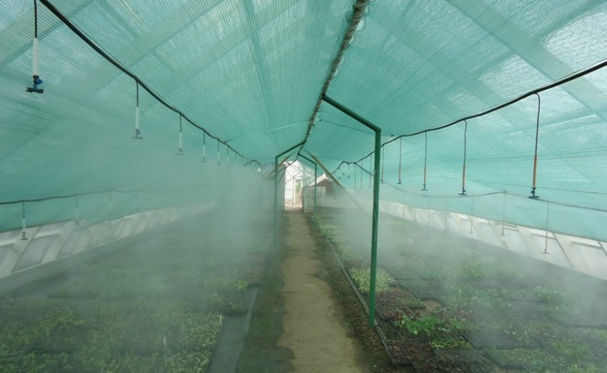 Автоматична система поливу