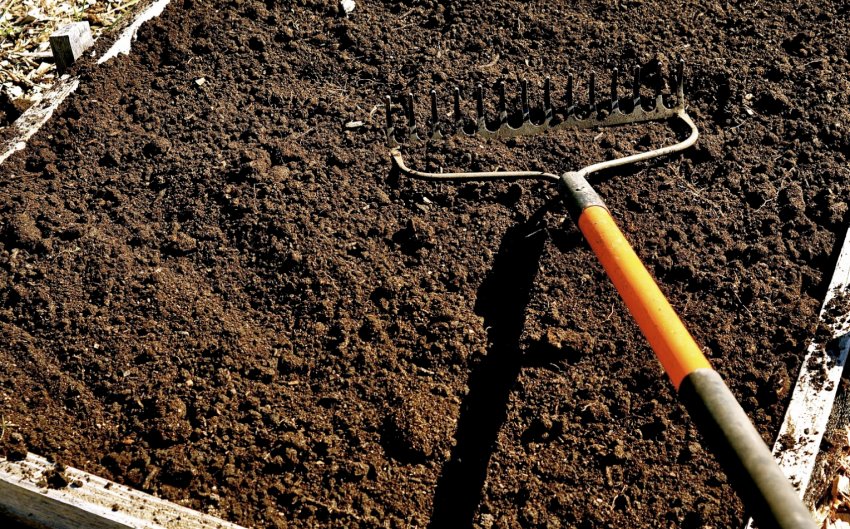 Підготовка грунту та місця перед посадкою