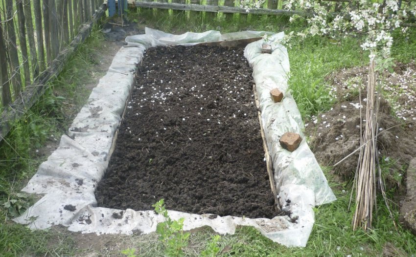 Місце для посадки журавлини