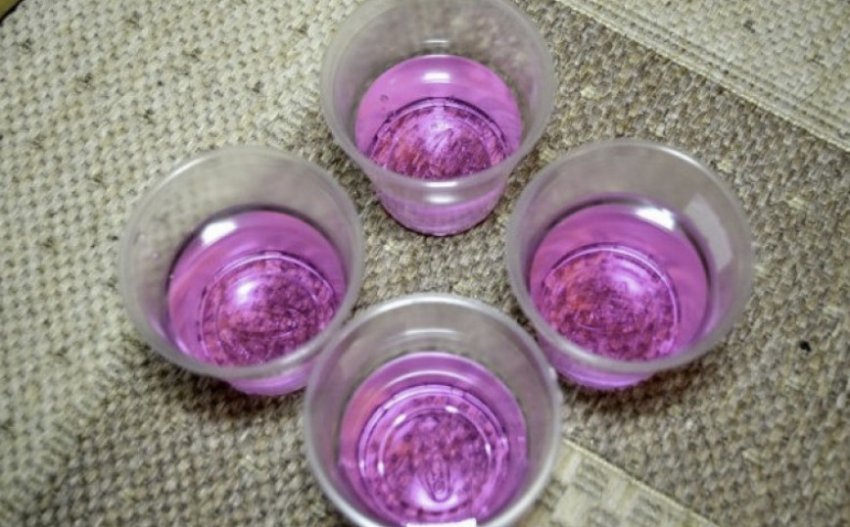 Підготовка насіння в марганцівці Підготовка насіння в марганцівці