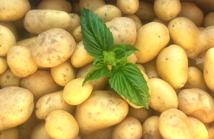 На пермських теренах активно дорожчає «другий хліб»