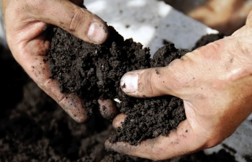 Грунт для посадки Грунт для посадки