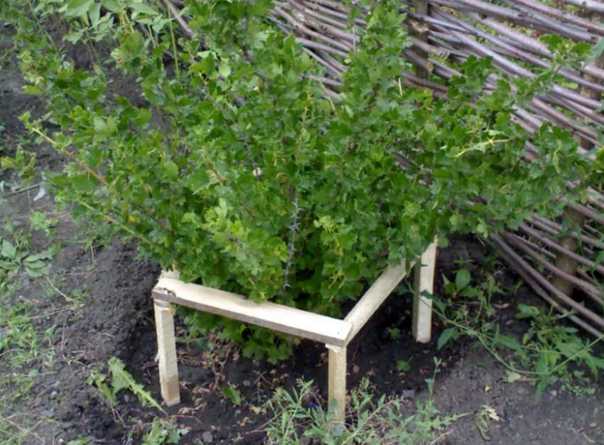 Опора для аґрусу Опора для аґрусу