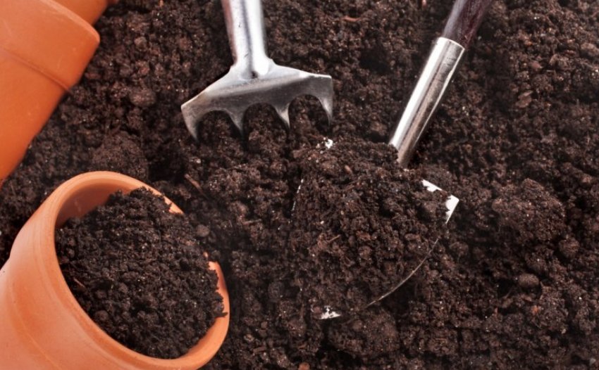 Ємність для вирощування