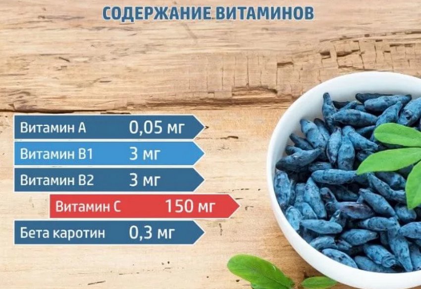 Вміст вітамінів у жимолості Вміст вітамінів у жимолості