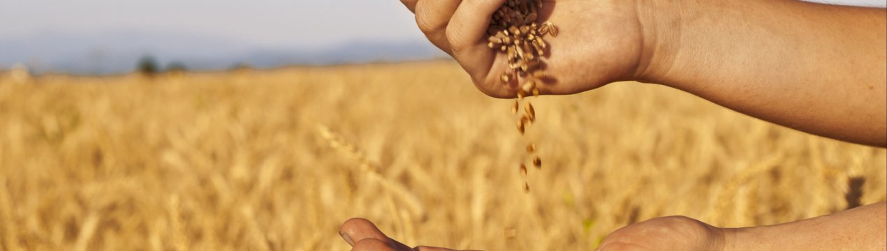 Краснодарські аграрії подолали 10-мільйонний бар'єр