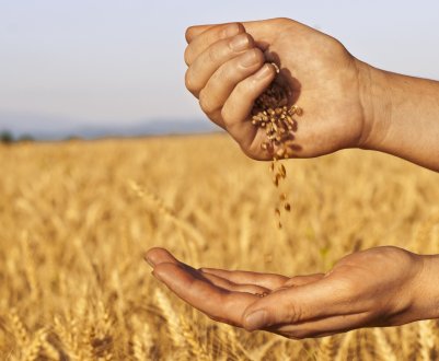 Краснодарські аграрії подолали 10-мільйонний бар'єр