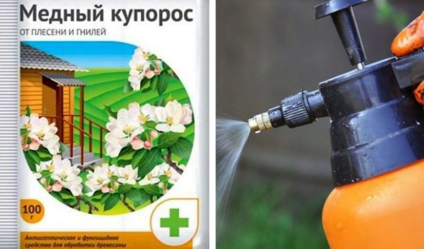 Обприскування мідним купоросом