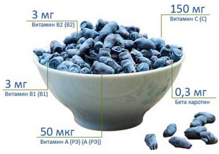 Складу жимолості