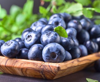 Найбільша плантація лохини в Україні перебуває на Закарпатті