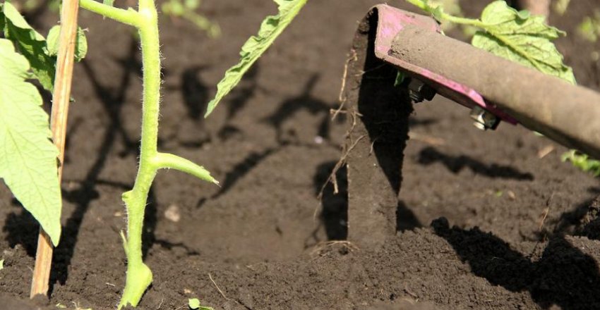 Розпушування грунту Розпушування грунту