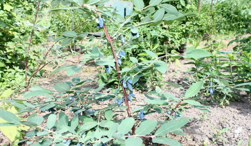 Московська 23 Московська 23