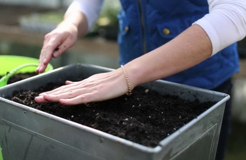 Ґрунт Ґрунт