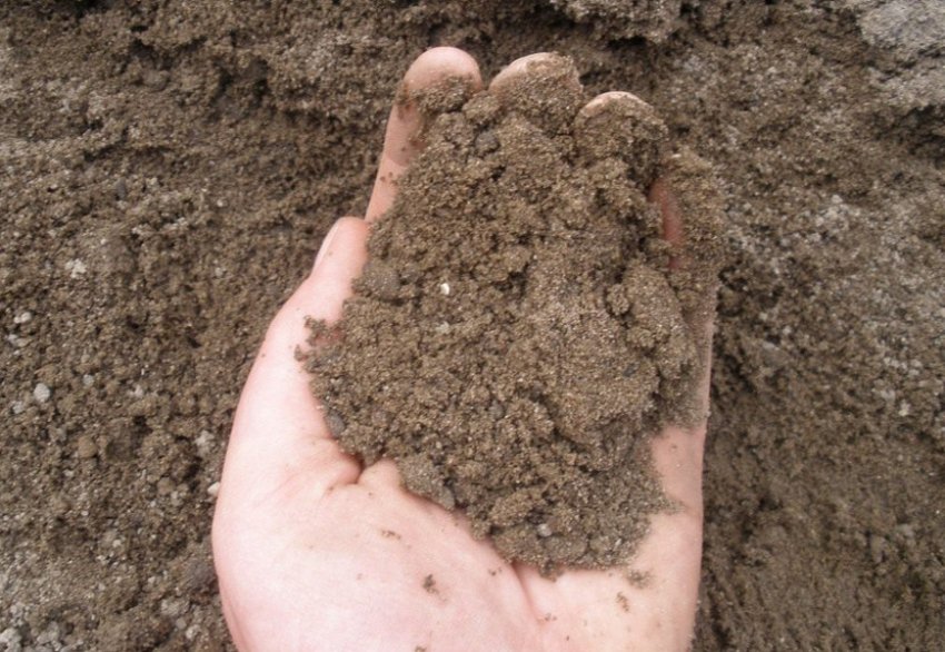 Супесчаная почва