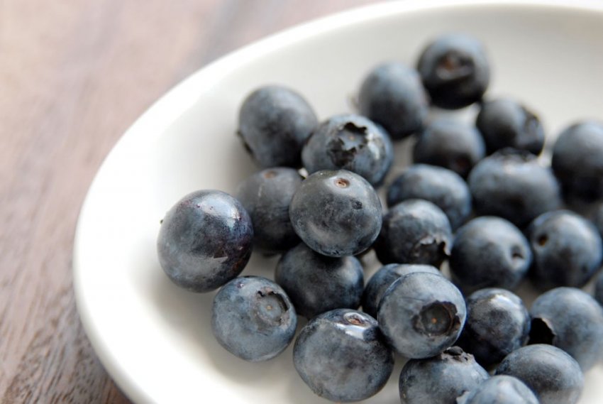 Лохина Нектарна Лохина Нектарна