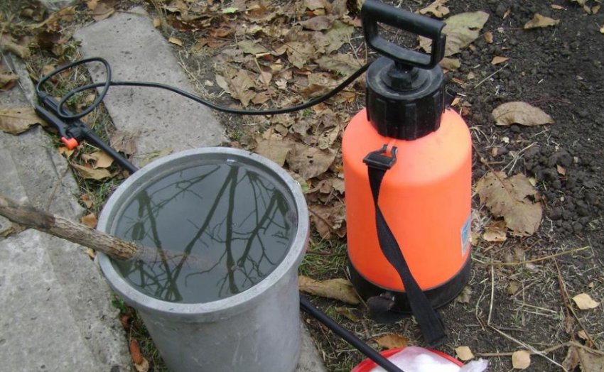 Препарат для обробки лохини Препарат для обробки лохини