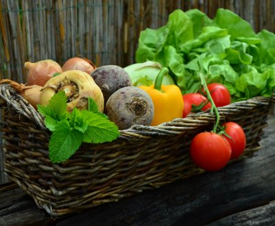 Краснодарські теплиці і городи радують високими врожаями