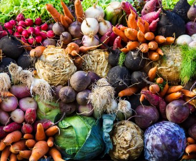 У кримських теплицях достигло п'ять з половиною тисяч тонн овочів