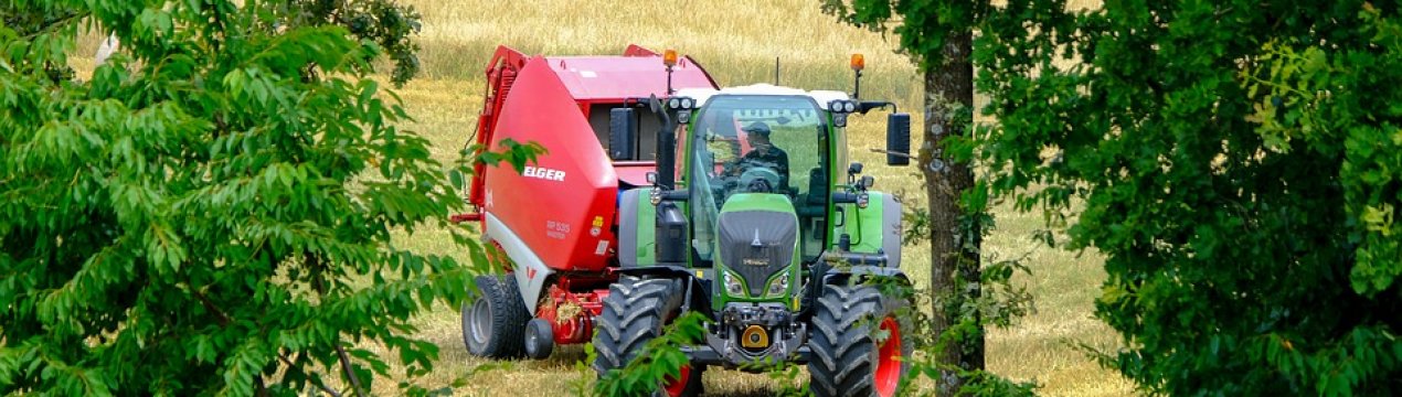 Сільське господарство Німеччини не має потребу в робочій силі з України