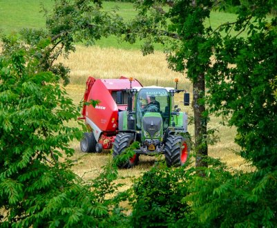Сільське господарство Німеччини не має потребу в робочій силі з України