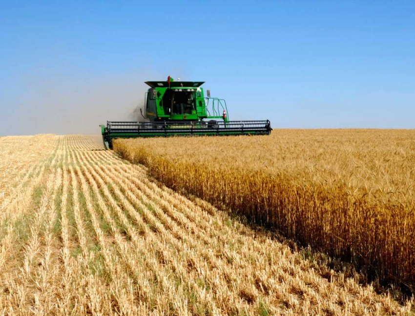 Аграріям України може не вистачити коштів на часткову компенсацію вартості техніки Аграріям України може не вистачити коштів на часткову компенсацію вартості техніки