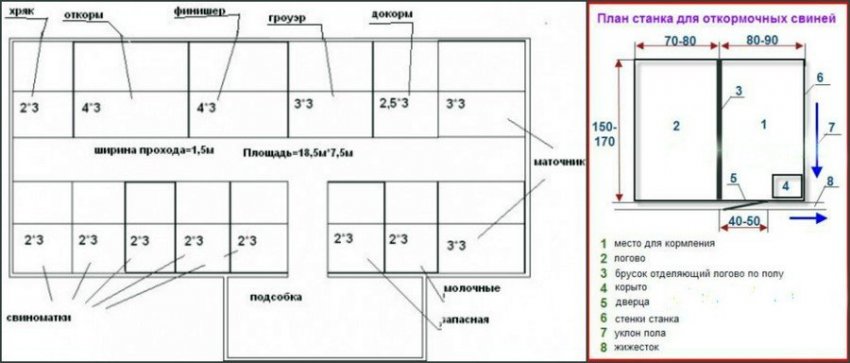 Схема каркасного свинарника Схема каркасного свинарника