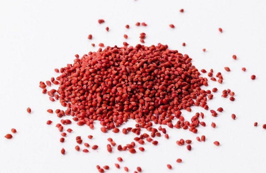 Насіння журавлини