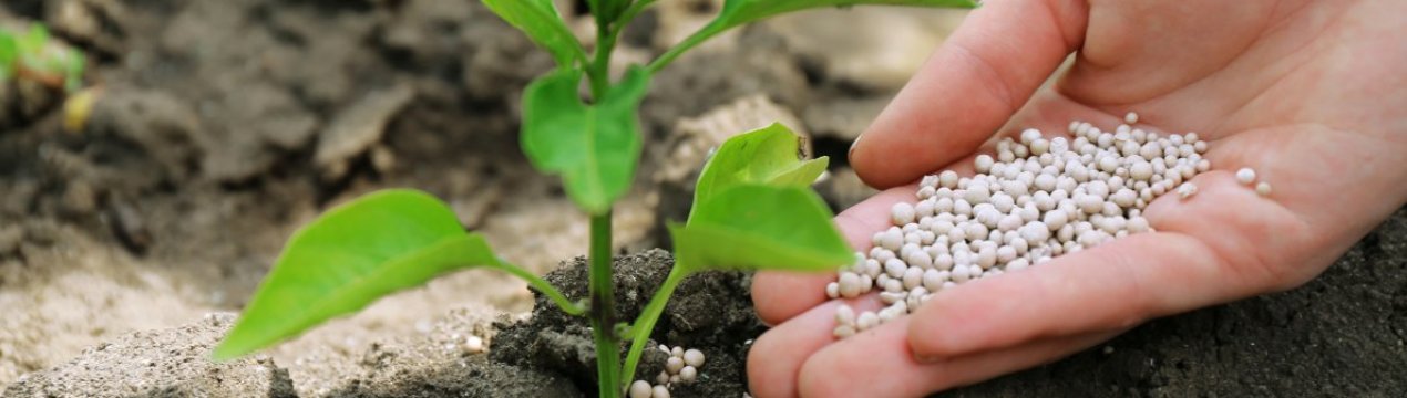 «Розумні» добрива зможуть зменшити глобальне потепління