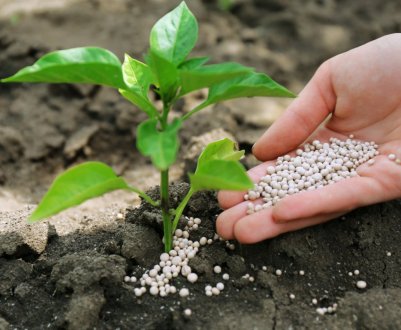 «Розумні» добрива зможуть зменшити глобальне потепління 