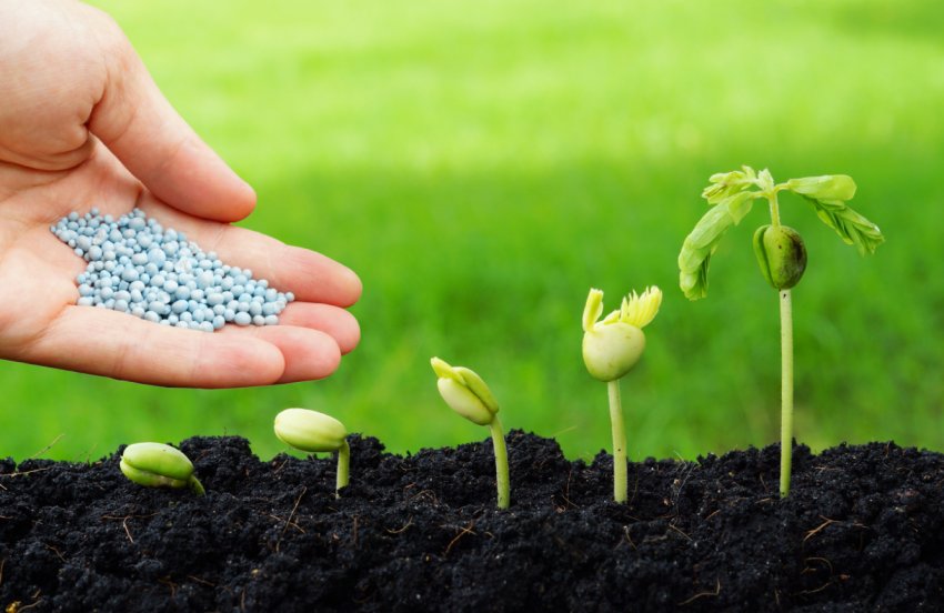 «Розумні» добрива зможуть зменшити глобальне потепління