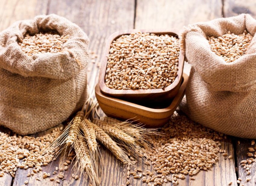 Киприотские селекціонери з двох класичних сортів пшениці зробили один унікальний