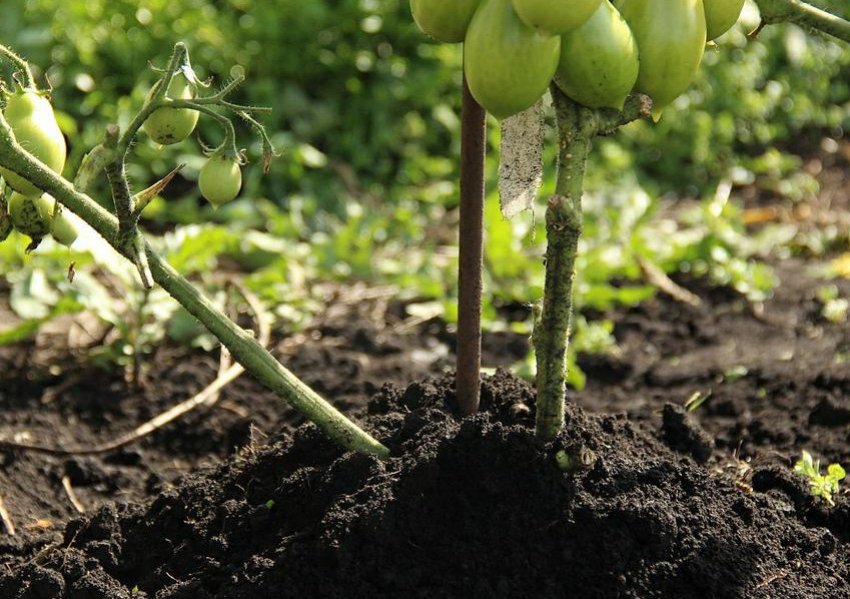 Розпушування грунту Розпушування грунту