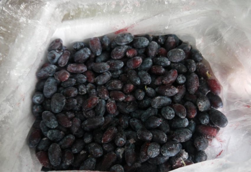Заморожена жимолость
